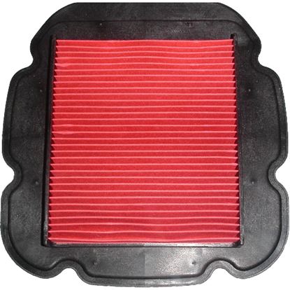 Picture of Air Filter for 2009 Suzuki DL 1000 K9 V-Strom