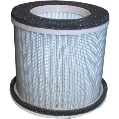 Picture of Air Filter for 1988 Yamaha FZR 400 (EXUP) (3EN1)