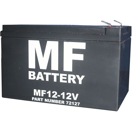 Picture of Battery ES12v-12 (Spade Conn) (L:150mm x H:93mm x W:100mm) (SOLD DRY)