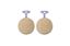 Picture of Brake Disc Pads Front R/H Kyoto for 1976 Yamaha RD 250 C (Front Disc & Rear Drum)
