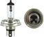 Picture of Bulb P45t 12 Volt 60/55 Halogen 12v