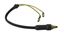 Picture of Front Brake Lever Stop Switch for 2003 Yamaha YP 125 Majesty (Disc Front & Rear) (5XL1)