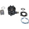 Picture of Barrel Standard L/C Aprilia 00-03, AY50 Katana Size 41mm