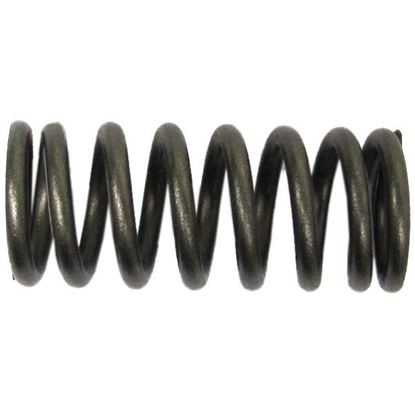 Picture of Clutch Spring Kit for 1983 Kawasaki Z 250 G Single