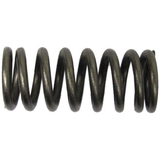 Picture of Clutch Spring Kit for 1983 Kawasaki Z 250 G Single