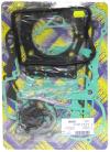 Picture of Gasket Set Full for 2001 Piaggio X9 500