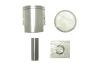 Picture of Piston Kit Std for 1987 Aprilia Tuareg Rally (125cc)