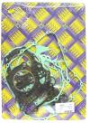 Picture of Gasket Set Full for 1998 Honda VT 750 C2W Shadow (RC44)