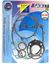 Picture of Full Gasket Set Kit Kawasaki KX80E1, 2, 3 183-85