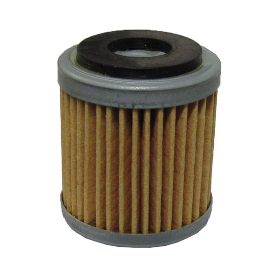 Picture of Oil Filter for 2011 Yamaha YZF-R 125 (EFI) (5D77)