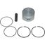 Picture of Piston Kit Std for 2009 Suzuki GZ 125 K9 Marauder