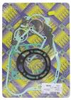 Picture of Gasket Set Full for 1984 Yamaha YZ 250 L (43N/39X) (2T)