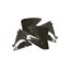Picture of Radiator Scoops for 2001 KTM 300 EXC (Upside down Forks)
