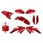 Picture of Plastic Kit Complete for 2009 Honda CRF 50 F9