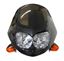 Picture of Headlight Twin and Fairing including Indicators Carbon Look