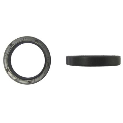Picture of Fork Oil Seals for 2006 Beta Ark LC (50cc)