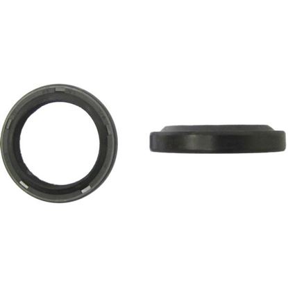 Picture of Fork Oil Seals for 2006 Aprilia Scarabeo 150 GT