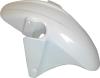 Picture of Front Mudguard for 2001 Honda CBR 600 F(4i)S-1