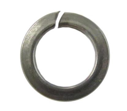 Picture of Washers Spring Stainless Steel 5mm ID x 8mm OD (Per 20)