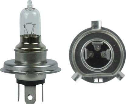 Picture of Bulb P43t 6v 60/55w Halogen
