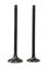 Picture of Inlet & Exhaust Valve Suzuki EN125 (Pair)