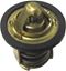 Picture of Thermostat 25mm O.D,Length 31mm 70c fitted to Aprilia Di-Tec