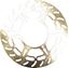 Picture of Brake Disc Front for 2001 KTM 640 LC4-E Supermoto