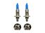 Picture of Bulb H1 12v 55w Blue Tint (Pair)