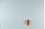 Picture of Bulbs Capless Large 12v 21w Amber (Per 10)