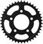 Picture of 48 Tooth Rear Sprocket Cog Triumph Daytona & Speed Triple Ref: JTR2010