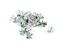 Picture of Fuel/Petrol Fuel Pipe Clip Clamps 8mm (Per 20)