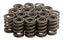 Picture of SPRING VALVE SET/16 CBR600 F4 KIBBLEWHITE 30-30292 HONDA