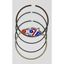 Picture of RINGS 9500ZS 95.00mm WISECO