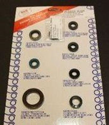Picture of OIL SEAL SET 06-07 LTR450