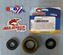 Picture of DIFFERENTIAL SEAL KIT ALLBALLS 25-2069-5
