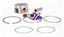 Picture of PISTON KIT 01-06 YFM660 100 A NAMURA NA-40004 YAMAHA