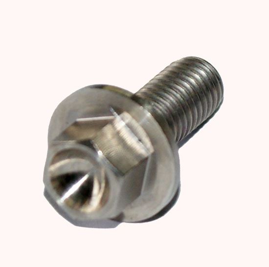 Picture of TITANIUM BOLT M8 x 20mm