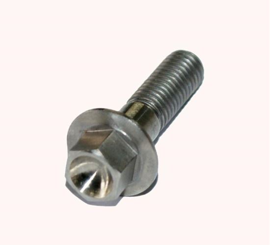 Picture of TITANIUM BOLT M8 x 30mm