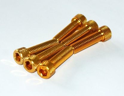 Picture of 8x30 GOLD PACK/6 ALLOY