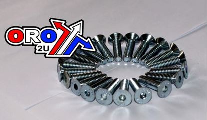 Picture of ALLEN BOLTS CSK M6x10 PACK/20