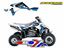 Picture of 06-11 LTR450 DREAM 2 GRAPHIC BLACKBIRD DECAL KIT 2Q09A/01