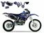 Picture of 98-02 WRF400/426 TRIBAL SKULL2 BLACKBIRD GRAPHIC KIT 2227B