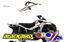 Picture of 07-12 CAN AM RENEGADE BLACKBIRD DECAL KIT 2Q17A
