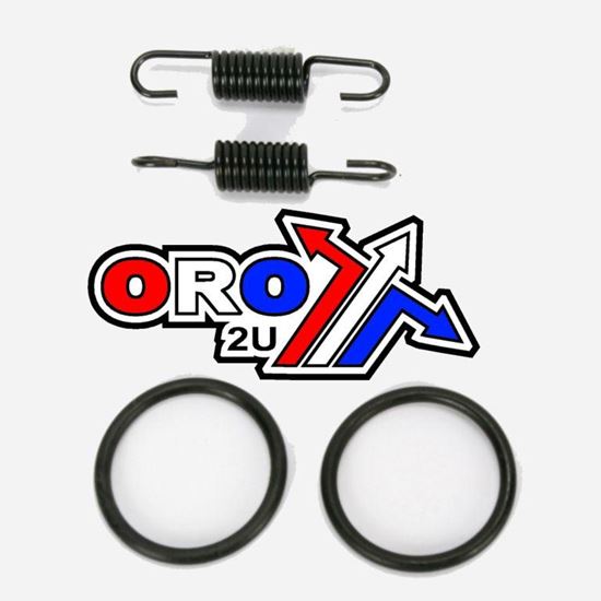 Picture of O-RING & SPRINGS KX80 85 100 FMF 011310 KAWASAKI 98-12