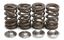 Picture of VALVE SPRING SET XR400 96-04 KIBBLEWHITE 30-30085 RACING