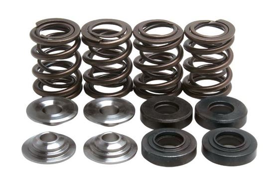 Picture of VALVE SPRING SET XR650R KIBBLEWHITE 30-30161