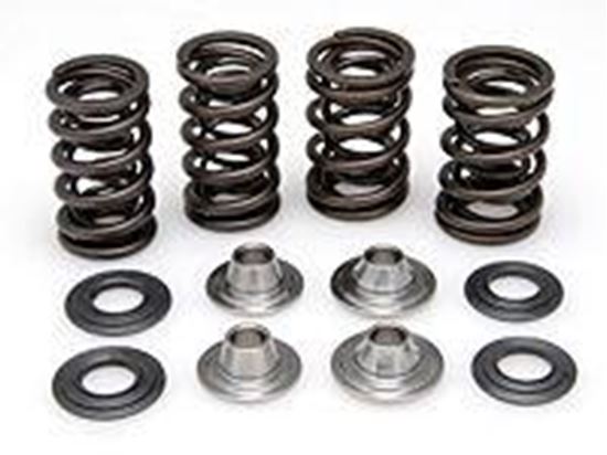 Picture of VALVE SPRING SET KX450F 06-08 KIBBLEWHITE 40-40300 RACING LIGHTWEIGHT RACING