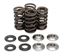 Picture of VALVE SPRING SET RMZ250 07-14 KIBBLEWHITE 60-60500 RACING LIGHTWEIGHT RACING