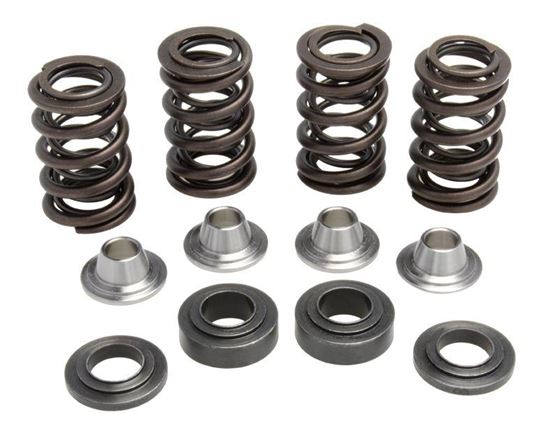 Picture of VALVE SPRING SET YZ450F 10-13 KIBBLEWHITE 80-80750 RACING