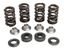 Picture of VALVE SPRING SET YZ450F 10-13 KIBBLEWHITE 80-80750 RACING